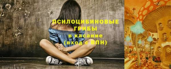 ECSTASY Белая Холуница