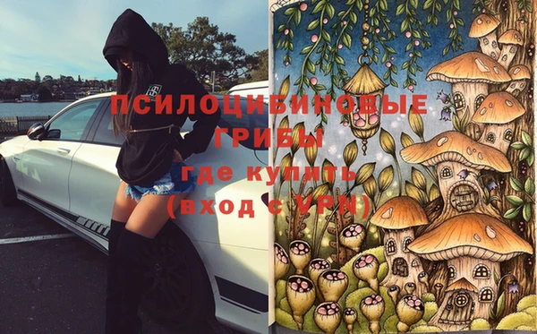 jwh Михайлов