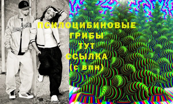 гидра Михайловск