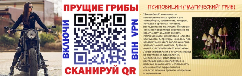 Псилоцибиновые грибы мухоморы  как найти закладки  Буй 